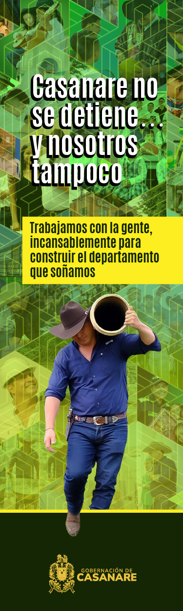 Banner gobernador_ 90 x 300- (1)