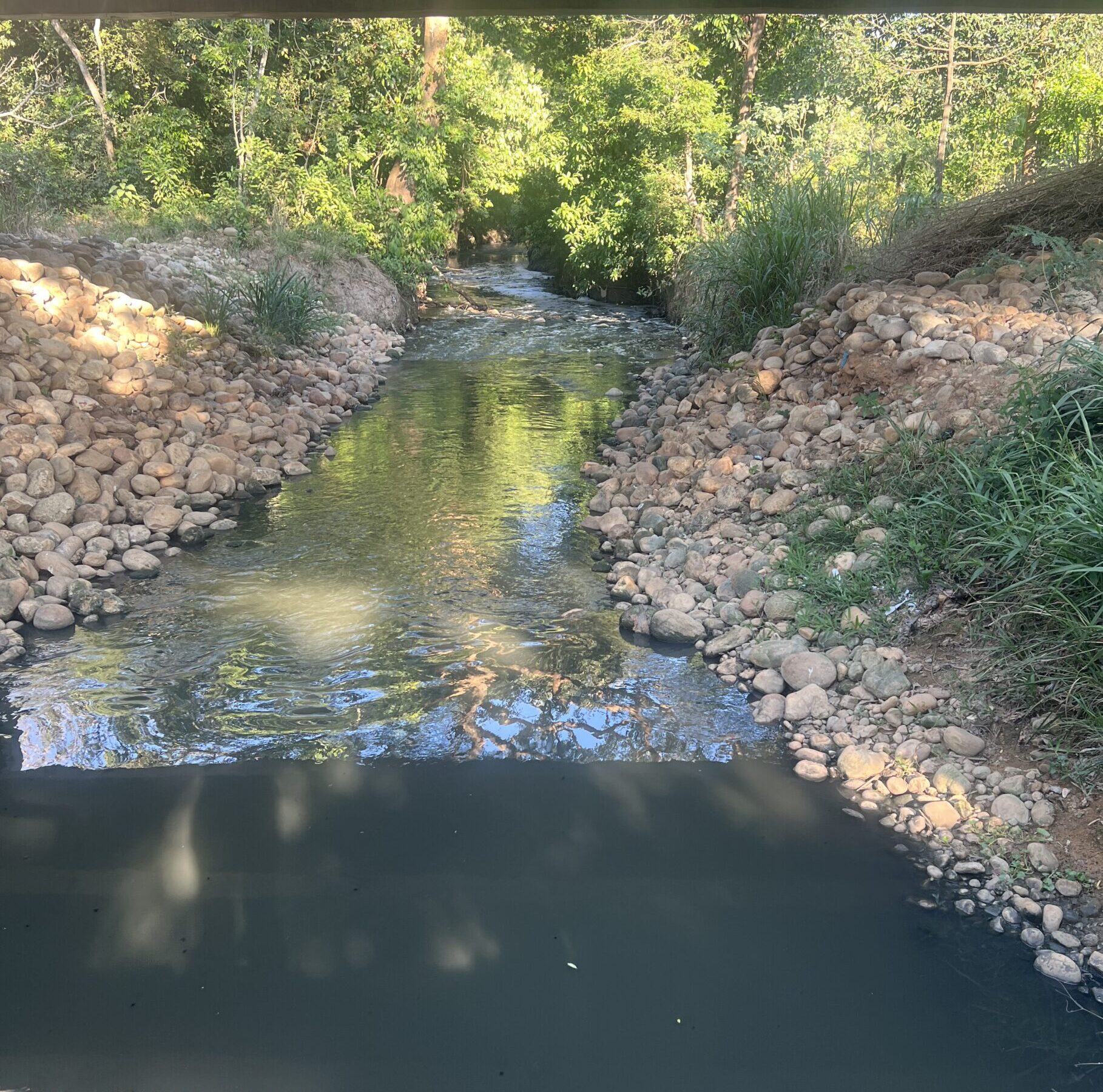 Urgente Llamado a la Acción por los Habitantes de San Rafael ante la Crisis Ambiental del Caño USIVAR