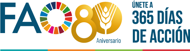 FAO abre ofertas de empleo en Casanare