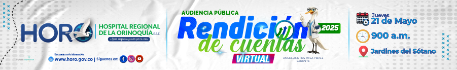 Banner Rendición de Cuentas 2025 horizontal 300 x 46