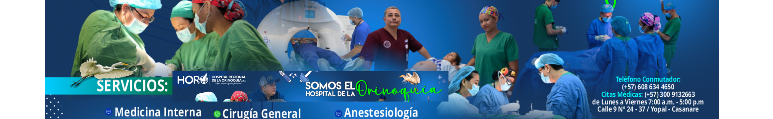 Banner de HOSPITAL HORO(2560 x 394 px) (1)